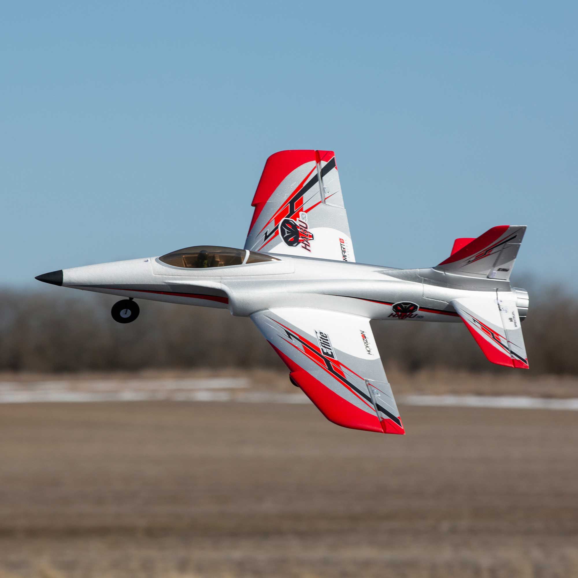 Habu rc plane 2025