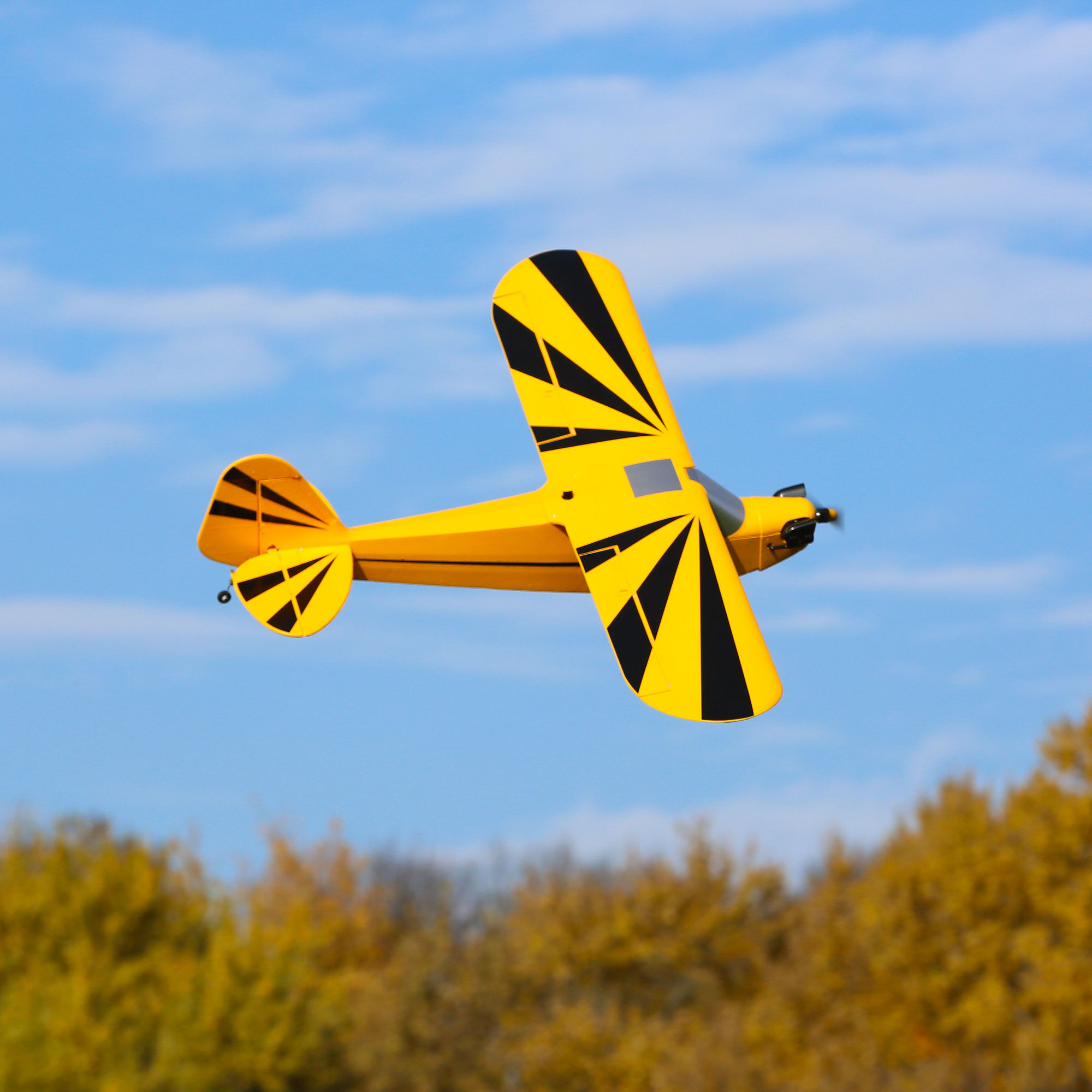 E-flite Clipped Wing Cub 1.2m PNP | e-Flite