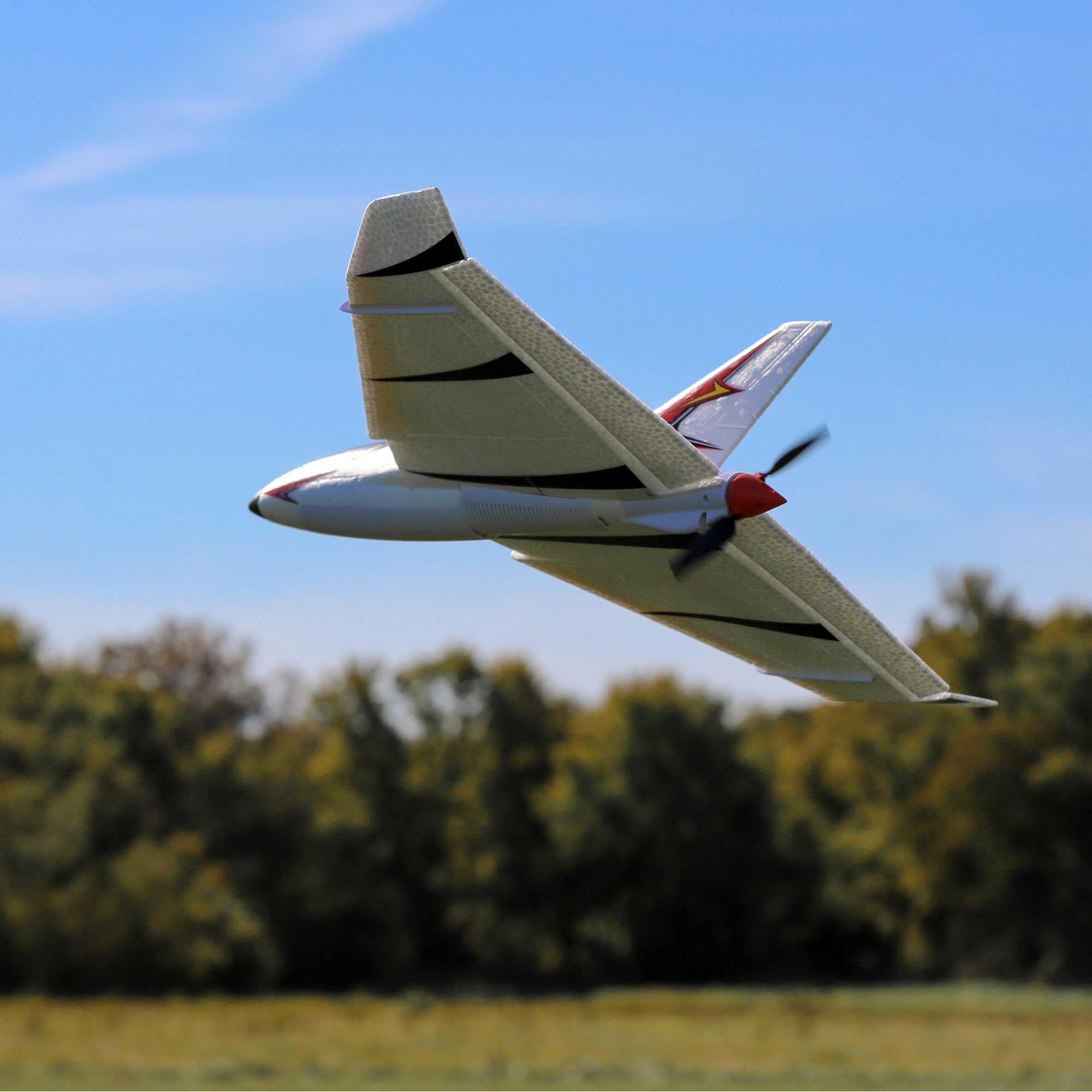 E flite delta ray store