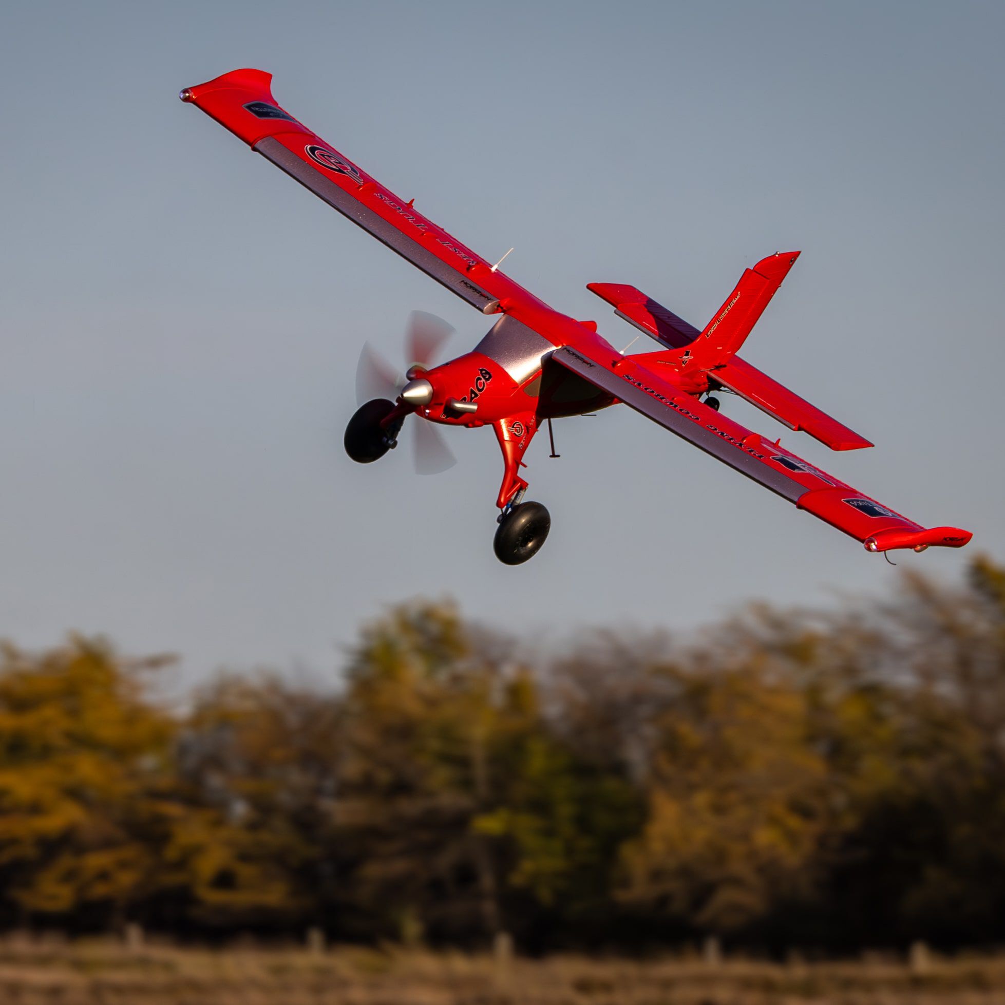 E flite Micro DRACO 800mm BNF Basic with AS3X and SAFE Select e Flite