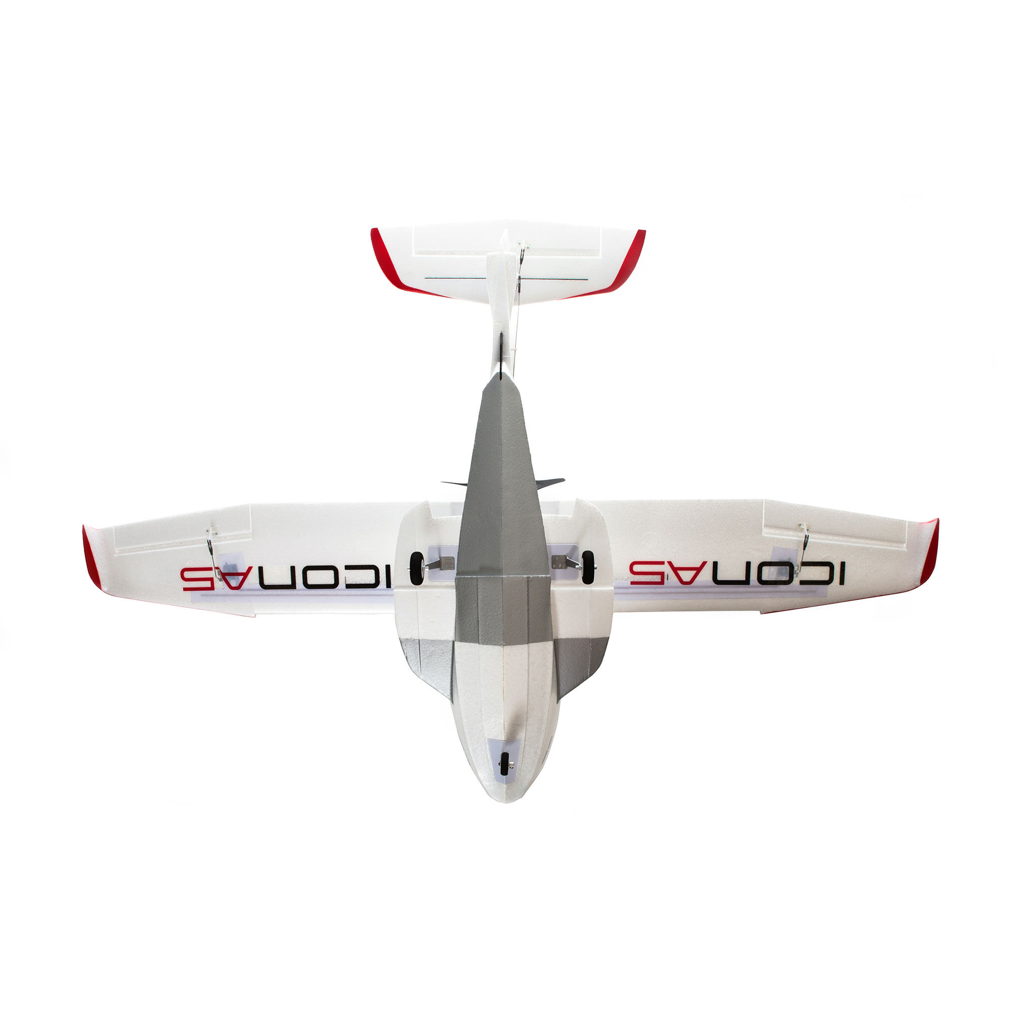 Icon 2025 rc plane