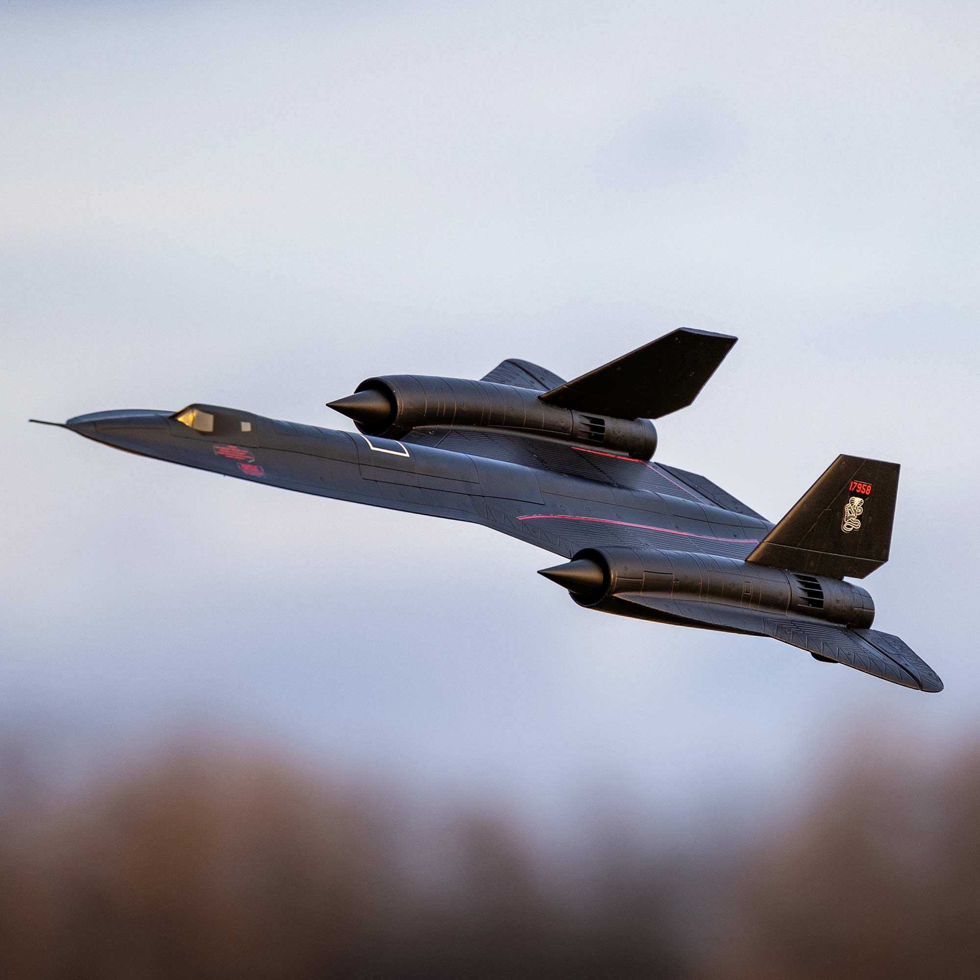 Blackbird 2024 rc plane
