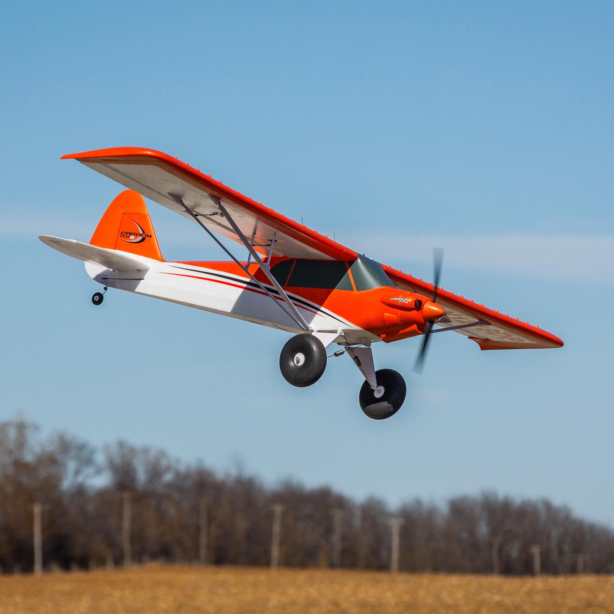 Carbon cub sale ss rc
