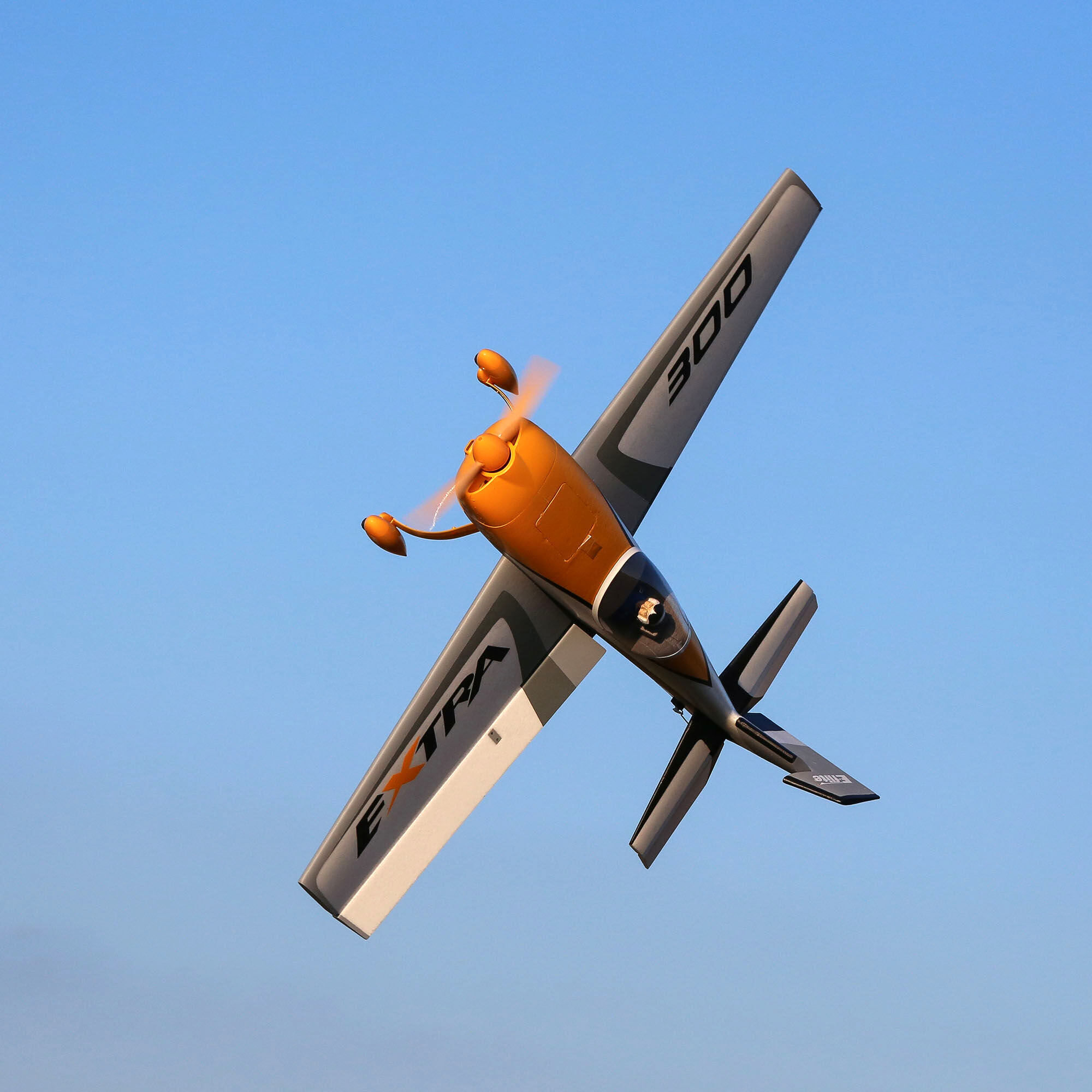 Extra 300 hot sale e flite