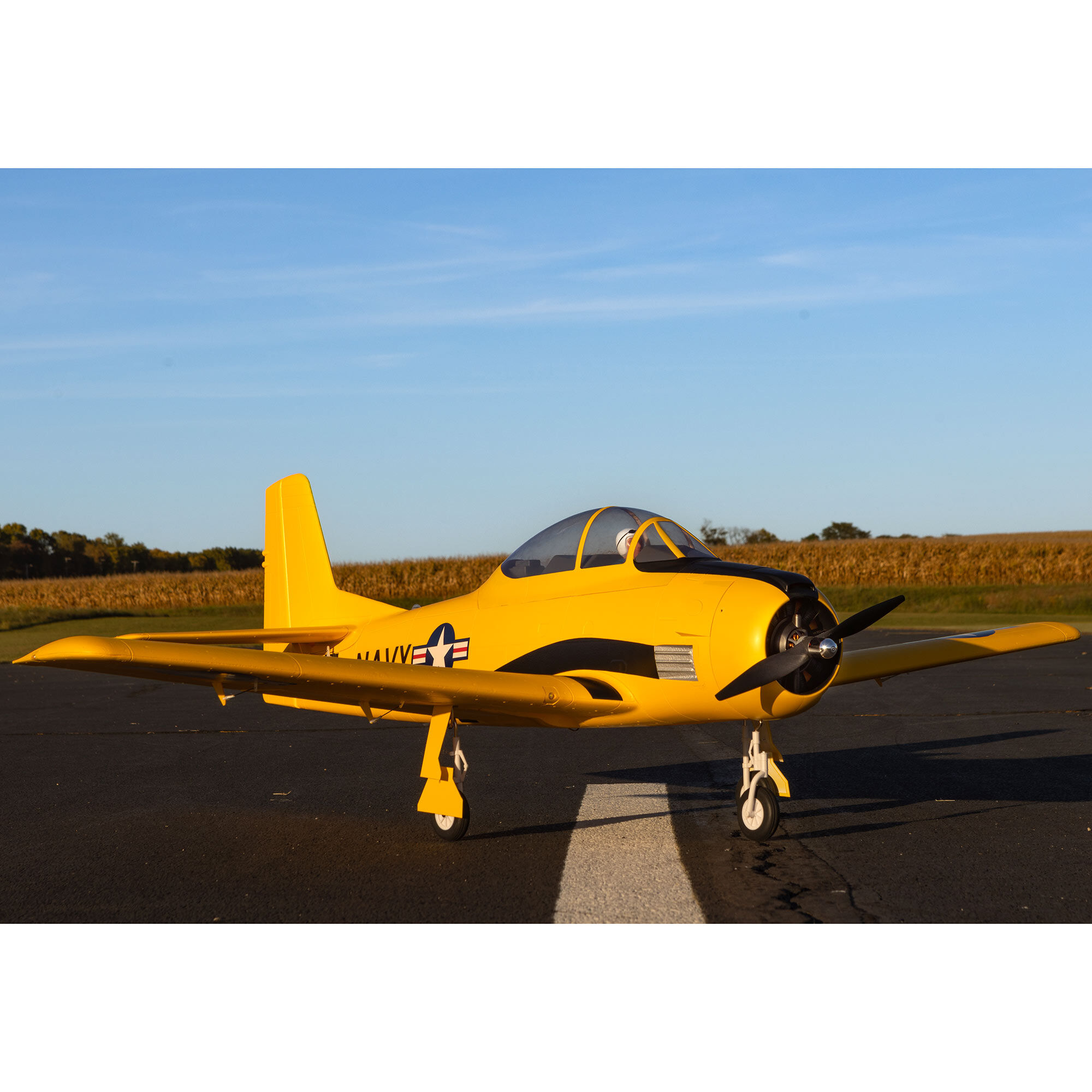 E flite trojan carbon z top